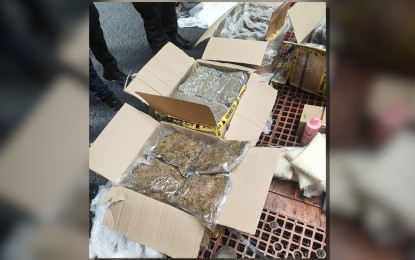 BOC finds P76-M kush inside balikbayan boxes at Manila port