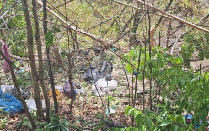 3 NPA rebels killed in Iloilo town clash