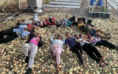 <p><strong>BOUNTIFUL HARVEST</strong>. Onion farmers revel at their bountiful harvest of white onions in Barangay Sulbec, Pasuquin, Ilocos Norte on March 3, 2024. The Department of Agriculture said Friday (March 15) it will closely monitor the peak harvest for onions from March to April before making a recommendation for importation. <em>(PNA photo by Leilanie G. Adriano)</em></p>