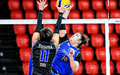 <p><strong>FIRST WIN</strong>. Capital1 skipper Jorelle Singh (No. 10) tries to score against Strong Group's Sheeka Espinosa (No. 11) during the preliminary round of the Premier Volleyball League All-Filipino Conference at PhilSports Arena in Pasig City on Tuesday (March 5, 2024). The Solar Spikers prevailed, 25-18, 25-20, 19-25, 25-20, to nail its first win.<em> (PVL photo)</em></p>