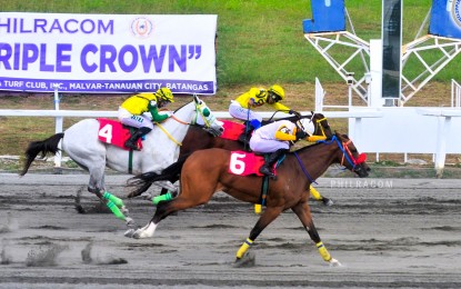 <p><strong>STUNNING</strong>. Lamberto Almeda Jr.'s High Roller (No. 6) pulls off a close victory in the 2024 Philracom Road to the Triple Crown race at the Metro Manila Turf Club in Malvar, Batangas on Sunday (March 10, 2024). The three-year-old Minsk out of Lucky Nine bay filly was guided by jockey Pablito Cabalejo. <em>(Philracom photo)</em></p>