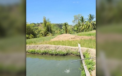 DA to provide technical assistance for 'BINHI' project in Antique