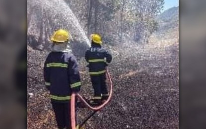 Forest fires destroy 116 ha of greening program in 6 Antique towns