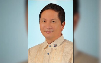 <p>Palawan 1st District Rep. Edgardo Salvame<em> (Photo courtesy of congress.gov.ph)</em></p>