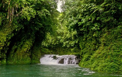 <p><strong>NATURAL WONDERS.</strong> The Pinipisakan Falls in Las Navas, Northern Samar, is within the Samar Island Natural Park (SINP). The SINP has been included in the Tentative List of nominees for the UNESCO World Heritage Site for its natural wonders. <em>(Photo courtesy of SINP)</em></p>