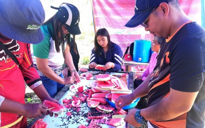 <div dir="auto"><strong>VALUABLE SEEDS</strong>. Watermelon seeds are removed from the flesh by community members on Thursday (March 15, 2024), a regular activity in Barangay Sappaac, Bangued, Abra during the harvest season. The seeds are later on collected by a vegetable and fruit seeds company. (<em>PNA photo by Liza T. Agoot)</em></div>