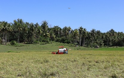 <p><strong>HIGH TECH</strong>. A farmers' group in Libmanan, Camarines Sur uses a 35-hp combine harvester with a trailer worth PHP1.24 million turned over by the Department of Agrarian Reform. Carlo Palaypayon, DAR-Camarines Sur's program officer, said on Monday (March 18, 2024) that essential tools and technologies will help farmers adapt to various environmental conditions and improve crop yields. <em>(Photo courtesy of Nica Stephanie Banaag-ARPO I/DAR)</em></p>