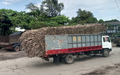 <p><strong>HIGHER MILL GATE PRICES.</strong> A cane truck on the way to a sugar mill in Silay City, Negros Occidental in this file photo. The biggest independent sugar group in the country, the United Sugar Producers Federation of the Philippines (UNIFED), in a statement on Tuesday (March 19, 2024) said they are thankful that “prices have gone up to the level that farmers are comfortable with.” (<em>PNA-Bacolod file photo</em>)</p>