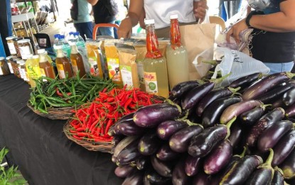 <p><strong>KADIWA MARKET</strong>. Agricultural produce sold at the “Kadiwa ng Pangulo” store at the Fiesta Market of Ayala Malls Capitol Central in Bacolod City on March 15, 2024. The next Kadiwa will be at the Panaad Organic Village in Barangay Mansilingan in the city on April 15-21 as part of the 28th Panaad Sa Negros Festival. (<em>Photo courtesy of Office of the Provincial Agriculturist -Negros Occidental)</em></p>