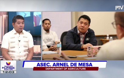 <p><strong>VACCINE APPROVAL</strong>. Agriculture Assistant Secretary Arnel de Mesa reports positive feedback following the meeting of Secretary Francisco Tiu Laurel Jr. and Food and Drug Administrator Director General Dr. Samuel Zacate, in an interview at the Bagong Pilipinas Ngayon briefing on Friday (March 22, 2024). De Mesa said the two agencies discussed ways to expedite procedures for vaccine approvals in the country. <em>(Screengrab)</em></p>