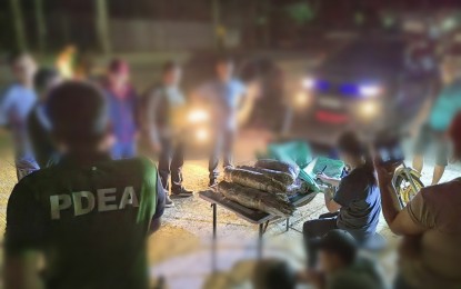 <p><strong>BUSTED.</strong> Philippine Drug Enforcement Agency agents arrest two suspects and seized 12 kilos of marijuana in a buy-bust in Aguilar, Pangasinan on Friday (March 22, 2024). The PDEA has so far confiscated PHP4.2 million worth of shabu and marijuana since Jan. 1. <em>(Photo courtesy of PDEA)</em></p>
