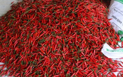 South Korea, Taiwan increase inspection on imported chili