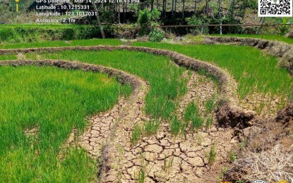 <p><strong>GROUNDS CRACK.</strong> A rice field in La Libertad, Negros Oriental shows dried up and cracked ground in this photo submitted on March 26, 2024 to the Department of Agriculture-Provincial Agriculture Technology Coordinating Office (DA-PATCO) in the province. A total of 11 local government units in Negros Oriental have submitted initial reports on damage and losses due to the drought triggered by the El Niño. <em>(Photo courtesy of La Libertad LGU via DA-PATCO Negros Oriental)</em></p>