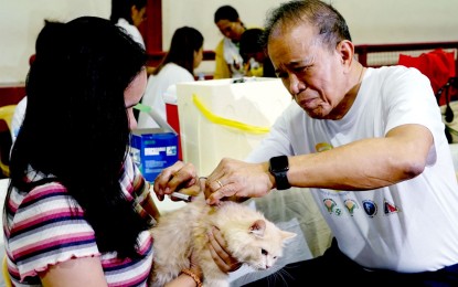 Avail of free anti-rabies shots for pets, DA urges owners