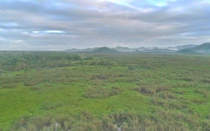 <p><strong>THREATENED.</strong> Leyte Sab-a Basin Peatland. The Department of Environment and Natural Resources has outlined measures to preserve the 3,088-hectare peatland, the largest water catchment in Leyte Island. <em>(Photo courtesy of DENR)</em></p>
