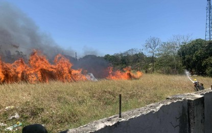 <p><strong>GRASS FIRE</strong>. A grass fire in Bangga Lote, Barangay Alijis, Bacolod City on Monday (April 1, 2024). In March alone, the Bureau of Fire Protection reported at least 130 grass fires in the city. <em>(BFP-Bacolod City Fire Station)</em></p>