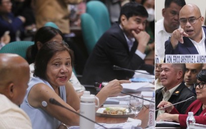 <p><strong>PROBE.</strong> The Senate Committee on Environment, Natural Resources and Climate Change conducts a hearing on Wednesday (April 3, 2024) on the defacement of the country’s protected areas, with resource persons Bohol Governor Erico Aristotle Aumentado (upper right) and Environment Secretary Maria Antonia Yulo-Loyzaga (lower right). Committee chair Senator Cynthia Villar (2nd from left, left photo) said there should be definitive actions for the conservation of protected areas, including reviewing the documents and instruments that govern them. <em>(PNA photos by Avito Dalan)</em></p>