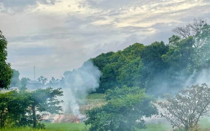 <p><strong>GRASS FIRE</strong>. Burning of farm waste in Laoag City, Ilocos Norte. The Bureau of Fire Protection dubbed the number of forest fires in the first quarter this year as alarming, after these have reached 26, higher than the 21 incidents in the whole of 2023. <em>(Photo by Leilanie Adriano)</em></p>