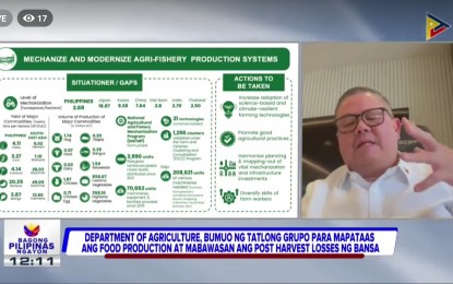 DA cites 4-year plan to boost food production, slow food inflation