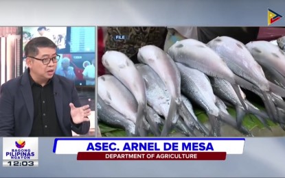 <p><strong>STABLE SUPPLY.</strong> Agriculture Assistant Secretary Arnel De Mesa says in an interview on Friday (April 5, 2024) that the supply and prices of fish remain stable. He said the conclusion of the closed fishing season has helped secure a bountiful supply for the country. <em>(Screengrab)</em></p>