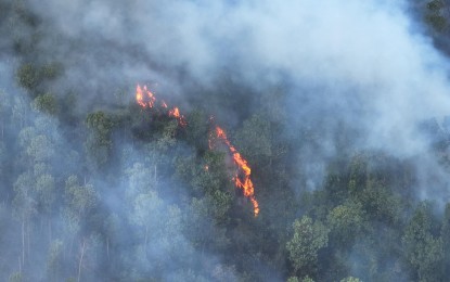 <p><strong>WILDFIRE.</strong> The Bureau of Fire Protection in Negros Oriental is calling on the public to be extra careful in their activities to avoid causing grass or wildfire as shown in this undated photo in Bayawan City, Negros Oriental. The BFP reported that 17 grass fires were recorded in the province. <em>(PNA file photo courtesy of Barangay Tayawan, Bayawan City village head Clint Chiefe)</em></p>