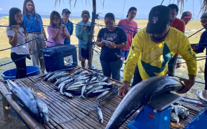 Opportunities come in waves for 'lambaklad' fisherfolk in Ilocos town