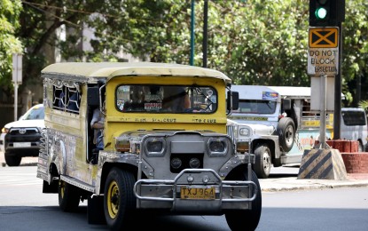 <p><strong>CONSOLIDATION.</strong> Traditional jeepneys ply along Kalaw Street in Manila on April 11, 2024. Public utility vehicle (PUV) operators and drivers have only until Tuesday (April 30, 2024) to consolidate into cooperatives or corporations as part of the PUV modernization program (PUVMP). <em>(PNA photo by Yancy Lim)</em></p>