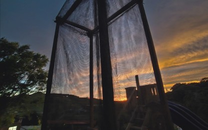 <p><strong>PROTOTYPE</strong>. The fog catcher in Haights Farm, Atok, Benguet is being studied as an inexpensive and long-term solution to the water problem in the Cordillera Region. It can collect some 25 liters of water produced by mist from the morning fog. <em>(Photo courtesy of Haights Farm)</em></p>