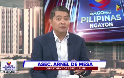 <p style="text-align: left;"><strong>FUEL SUBSIDY.</strong> Agriculture Assistant Secretary Arnel de Mesa says the Department of Agriculture (DA) will soon roll out its fuel subsidies to affected farmers and fishers amid the oil price hike, in an interview at the Bagong Pilipinas Ngayon briefing on Friday (April 12, 2024). He said the DA would grant PHP3,000 worth of aid per beneficiary. <em>(Screengrab)</em></p>