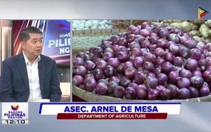 <p><strong>AID FOR FARMERS.</strong> Agriculture Assistant Secretary Arnel de Mesa confirms the drop in the farm-gate price of onions in Oriental Mindoro amid the El Niño phenomenon, in an interview at the Bagong Pilipinas Ngayon briefing on Friday (April 12, 2024). He, however, assured continuous support for affected farmers in the province. <em>(Screengrab)</em></p>