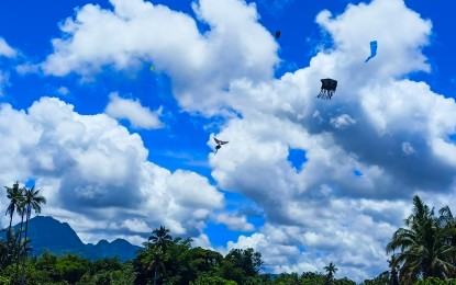 In Leyte town, kite flying relives past