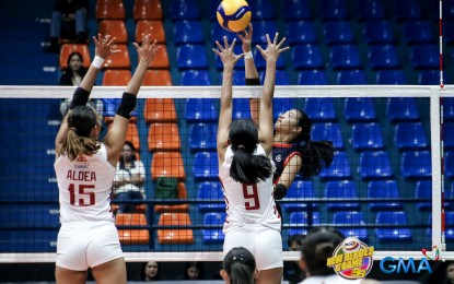 <p><strong>TOP SCORER.</strong> Letran's Gia Marcel Maquilang tries to score against Perpetual's Razel Paula Aldea (No. 15) and Charmaine Mae Ocado (No. 9) in the NCAA Season 99 women’s volleyball tournament at the Filoil EcoOil Arena in San Juan on Saturday (April 13, 2024). Maquilang led the Lady Knights for the 25-21, 25-20, 30-28 win. <em>(NCAA photo)</em></p>