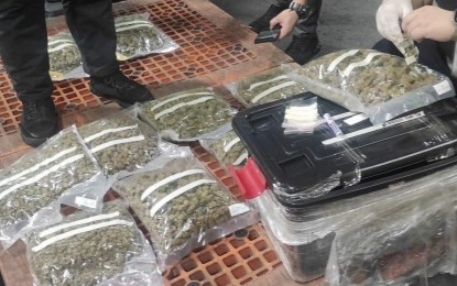 <p><strong>SEIZED.</strong> The smuggled marijuana seized by agents from the Customs Intelligence and Investigation Service-Manila International Container Port on Friday (April 12, 2024). Customs chief Bien Rubio said the shipment's consignees, senders and recipients will face charges. <em>(Photo courtesy of BOC)</em></p>