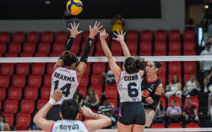 <p><strong>TOUGH MATCH. </strong>PLDT's Savannah Davison (No. 6) scores against Akari's Mereophe Sharma (No. 14) and Michelle Monique Cobb (No. 6) during the Premier Volleyball League All-Filipino Conference preliminary round at the Philsports Arena in Pasig City on April 9, 2024. PLDT will eye a share of top spot when it faces Chery Tiggo on Tuesday (April 16) at 6 p.m. <em>(Contributed photo) </em></p>