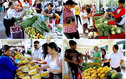 <p><strong>FARM TO MARKET LINK</strong>. Fresh vegetables and fruits are on sale at Kadiwa ng Pangulo stalls located at the Quezon City Hall covered path walk on April 16, 2024. The House of Representatives on Monday (April 29, 2024) vowed an unyielding fight against hoarding, profiteering and smuggling of agricultural products to protect both producers and consumers. <em>(PNA photos by Ben Briones)</em></p>