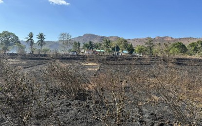 <p><strong>SCORCHED</strong>. An open field in Coron, Palawan is seen in the aftermath of a grassfire on Tuesday (April 16, 2024). Coron, Abrolan, and Puerto Princesa have been singled out in PAGASA's “Highest Heat Index" as the three areas in the province where heat would rise to dangerous levels. <em>(Photo courtesy of Bureau of Fire Protection-Mimaropa)</em></p>