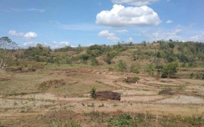 <p><strong>DRY AND BARREN.</strong> A rice field has dried up in the mountain village of Mandu-ao in Bayawan City, Negros Oriental due to drought triggered by the El Niño phenomenon. More than PHP229 million in agricultural production losses were reported in the province as of April 18, 2024. <em>(File photo courtesy of Jevy Bianan)</em></p>