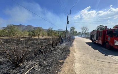 <p><strong>PALAWAN GRASSFIRE.</strong> Extreme heat in Palawan province is believed to be the main cause of a series of grassfires, such as this one in Coron town on April 16, 2024. Authorities in the provincial capital Puerto Princesa are bolstering preparations for fires as the city endures the most extreme heat conditions in recent memory.<em> (Photo courtesy of BFP-Mimaropa)</em></p>