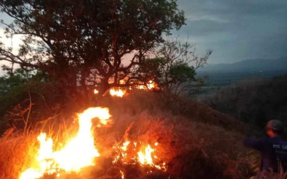 Ilocos Norte logs over P40-M damage from grass, forest fires