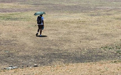 <p><strong>PARCHED.</strong> A man walks on dried grass at the University of the Philippines Sunken Garden in Diliman, Quezon City on April 24, 2024. The city's heat index as measured from the Science Garden of the weather bureau PAGASA will average 43°C on Thursday (April 25, 2024). <em>(PNA photo by Joan Bondoc)</em></p>