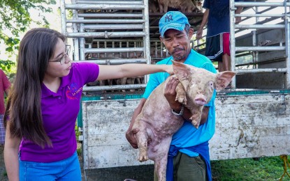 <p><strong>LIVESTOCK</strong>. La Union Governor Raphaelle Veronica Ortega-David (left) visits a livestock owner during one of the operations of the Office of the Provincial Veterinary in this undated photo. The OPVet provides services to farm animals to ensure their health and safety amid the El Niño phenomenon. <em>(Photo courtesy of Province of La Union)</em></p>