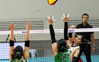 <p><strong>PNVF UPDATE</strong>. National University’s Diza Marie Berayo (white jersey) tries to score against two La Salle-Lipa defenders in the semifinal of the PNVF U18 Championships at the Rizal Memorial Sports Complex on Friday (April 26, 2024). The Lady Bullpups won, 25-19, 25-15, 25-23. <em>(PNVF photo) </em></p>