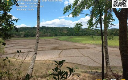 <p><strong>STATE OF CALAMITY.</strong> The provincial government of Negros Oriental is now in a state of calamity relative to the extreme effects of the El Niño phenomenon. Rice fields, such as the one in Bayawan City in this undated photo, have dried up as the current drought is expected to extend up to May or June. <em>(PNA file photo courtesy of DA-PATCO/Bayawan LGU)</em></p>