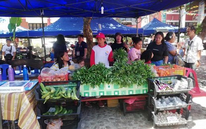 <p><strong>CITYHOOD.</strong> Antique farmers on Monday (April 29, 2024) display their products during the Kadiwa ng Pangulo trade fair, one of the activities in line with the “Tiringbanay Festival” of  San Jose de Buenavista. More developments are expected in the municipality once the proposed “City for Every Province Act,” which Antique Rep. Antonio Agapito Legarda authored in the House of Representatives is passed into law. <em>(PNA photo by Annabel Consuelo J. Petinglay)</em></p>