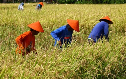 Farmers in Camiguin by JBondoc