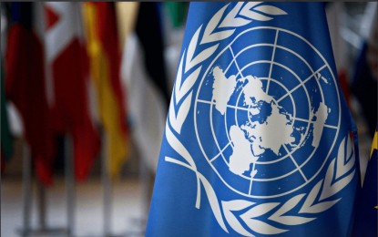 UN demands better protection of environmental journalists 
