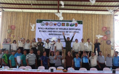 Southern Leyte town declared rebel-free