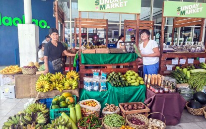 <p><strong>FRESH HARVEST</strong>. Members of farmers' groups in Camarines Sur showcase their fresh agricultural products in this undated photo. At least eight agrarian reform beneficiaries' organizations in the province earned PHP252,278 in the first quarter of 2024 during their direct selling in different areas. <em>(Photo courtesy of DAR Camarines Sur II)</em></p>