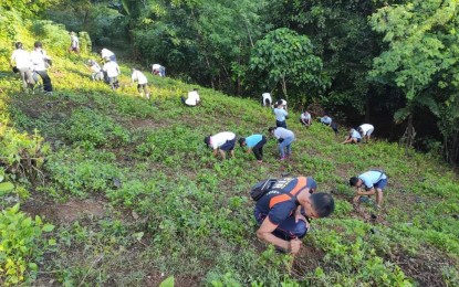 PENRO calls for volunteers in tree-growing activities in Pangasinan