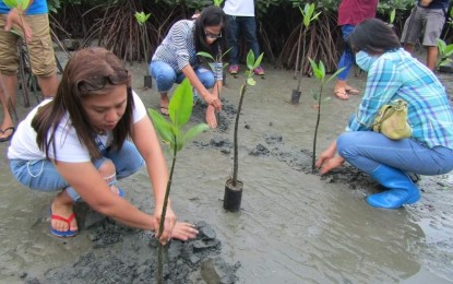 Pangasinan tree-planting activities boosted at onset of rainy season